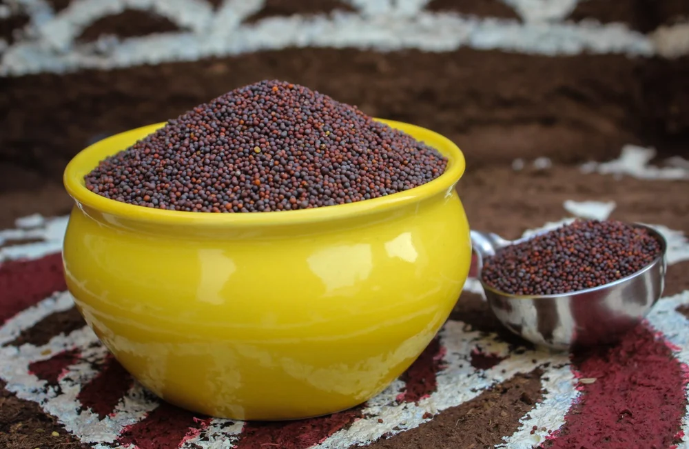 black-organic-mustard-seeds-1000x1000